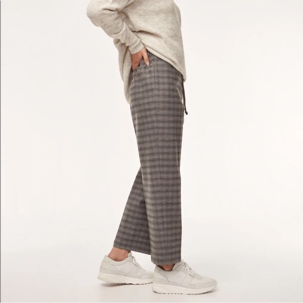 The Group by Babaton Jimmy Oversized bristle clay straight leg pants Sz  S NWOT - Picture 3 of 14